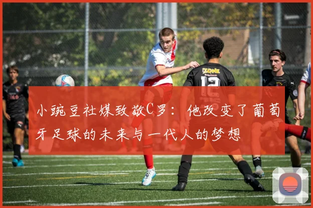 小豌豆社媒致敬C罗：他改变了葡萄牙足球的未来与一代人的梦想